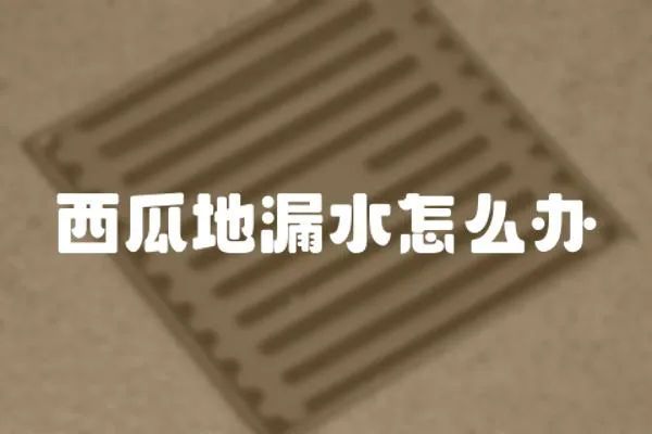 西瓜地漏水怎么辦