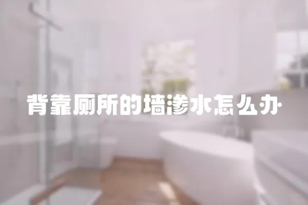 背靠廁所的墻滲水怎么辦