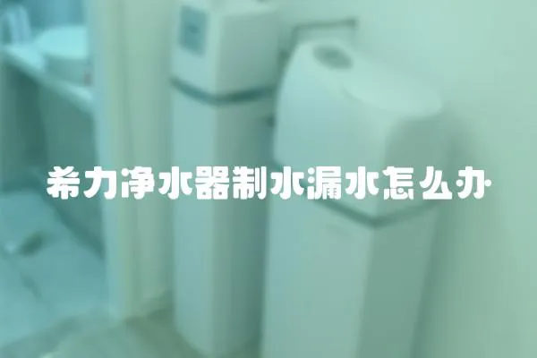 希力凈水器制水漏水怎么辦