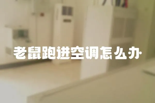 老鼠跑進空調怎么辦