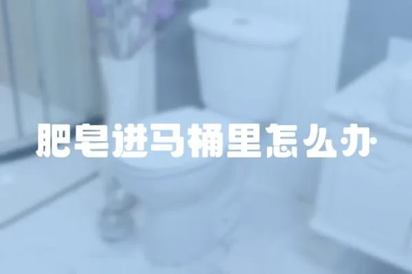 肥皂進馬桶里怎么辦