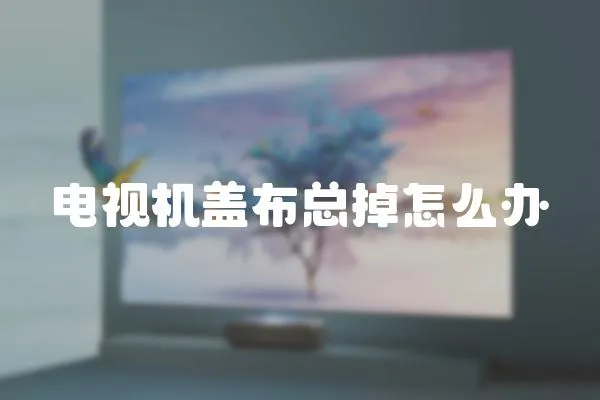 電視機(jī)蓋布總掉怎么辦