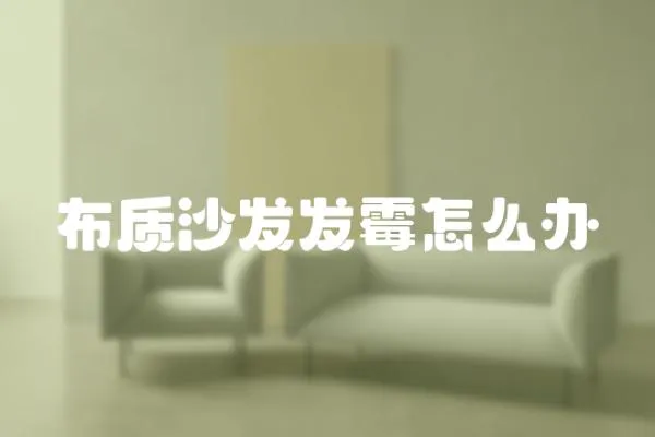 布質沙發發霉怎么辦