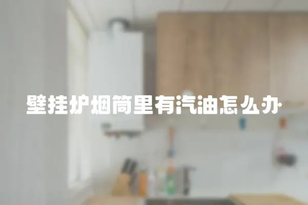 壁掛爐煙筒里有汽油怎么辦