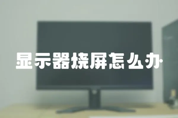 顯示器燒屏怎么辦