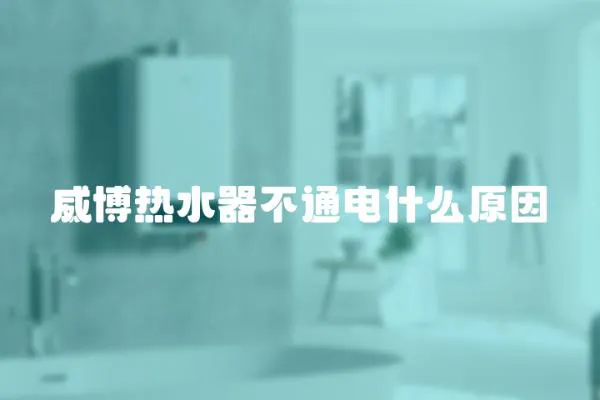 威博熱水器不通電什么原因