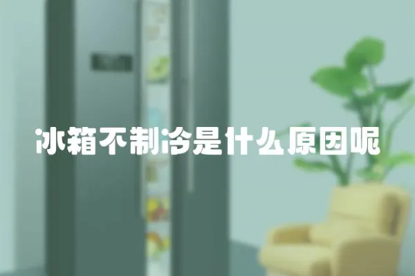 冰箱不制冷是什么原因呢