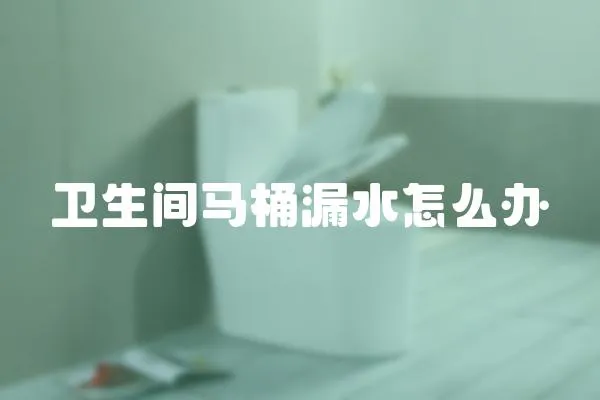 衛生間馬桶漏水怎么辦