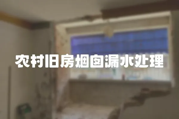 農(nóng)村舊房煙囪漏水處理