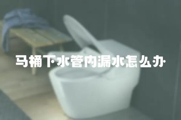 馬桶下水管內漏水怎么辦