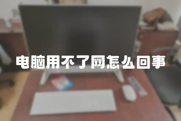 電腦用不了網怎么回事
