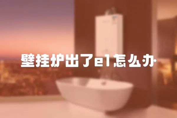 壁掛爐出了e1怎么辦