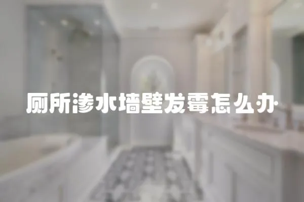 廁所滲水墻壁發霉怎么辦