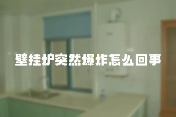 壁掛爐突然爆炸怎么回事