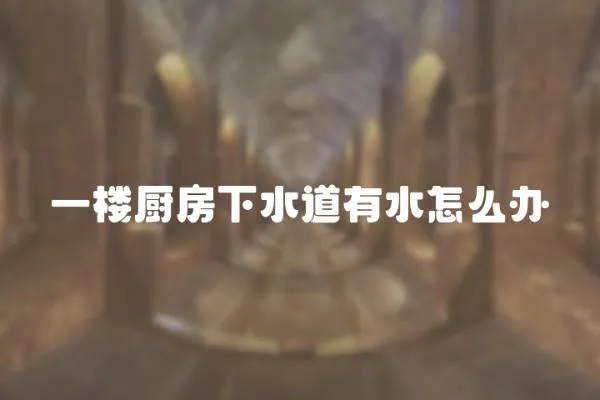 一樓廚房下水道有水怎么辦