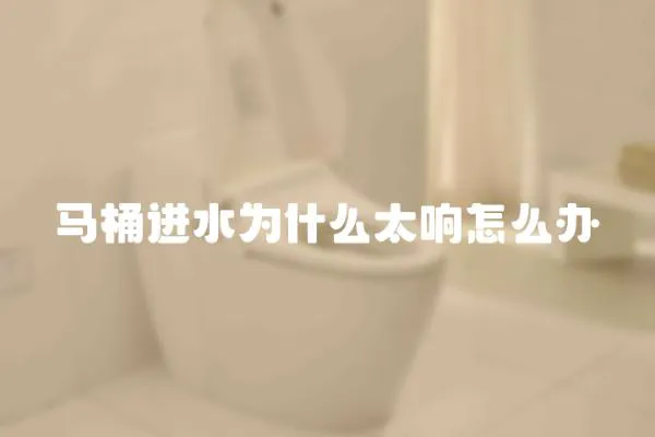 馬桶進水為什么太響怎么辦