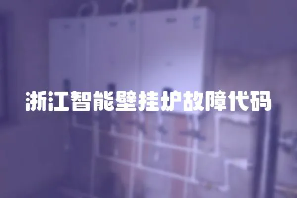 浙江智能壁掛爐故障代碼