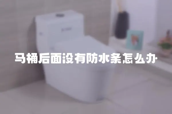 馬桶后面沒有防水條怎么辦