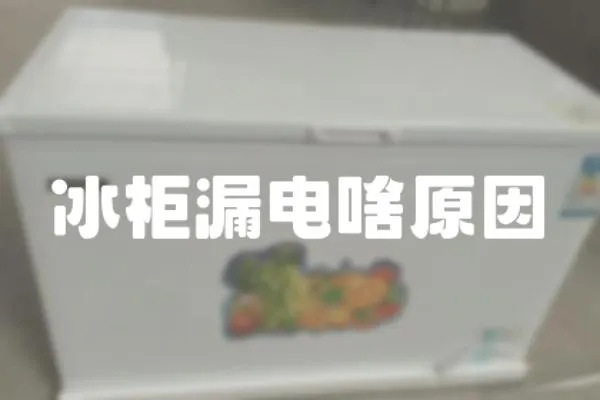 冰柜漏電啥原因