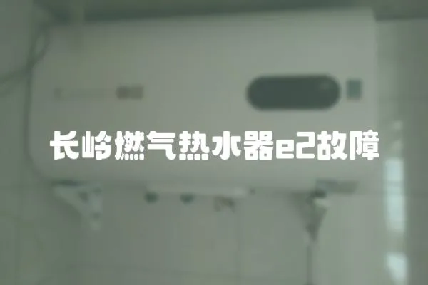 長(zhǎng)嶺燃?xì)鉄崴鱡2故障