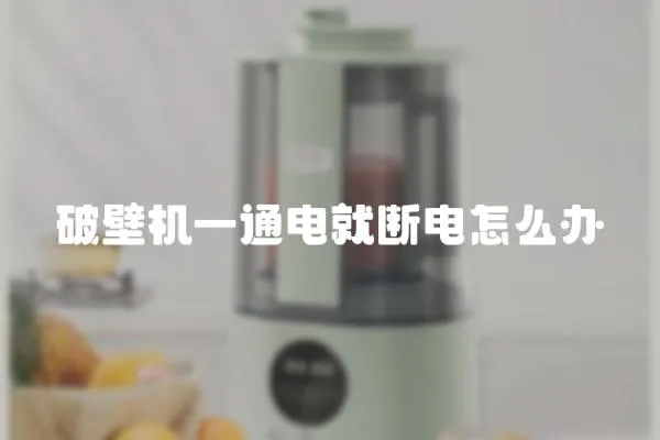 破壁機(jī)一通電就斷電怎么辦