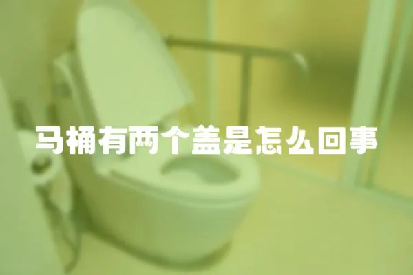 馬桶有兩個蓋是怎么回事