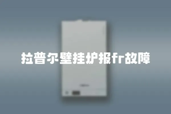 拉普爾壁掛爐報fr故障