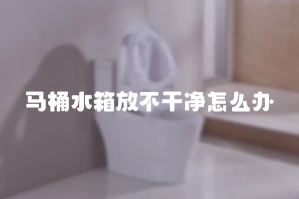 馬桶水箱放不干凈怎么辦