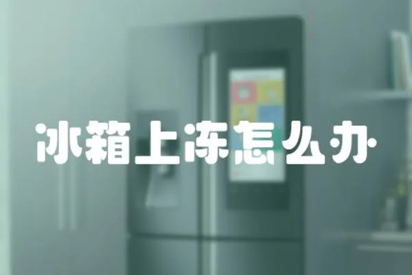 冰箱上凍怎么辦