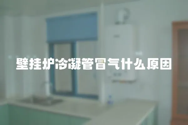 壁掛爐冷凝管冒氣什么原因