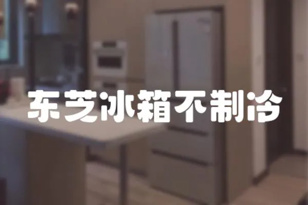 東芝冰箱不制冷