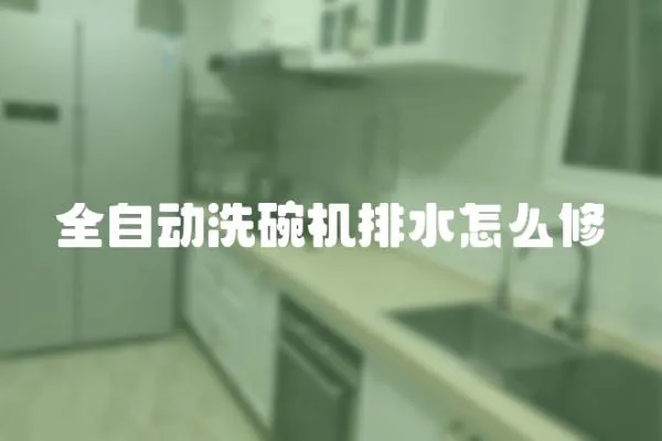 全自動洗碗機排水怎么修