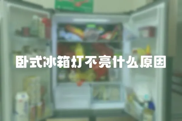 臥式冰箱燈不亮什么原因