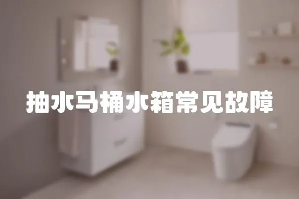 抽水馬桶水箱常見故障