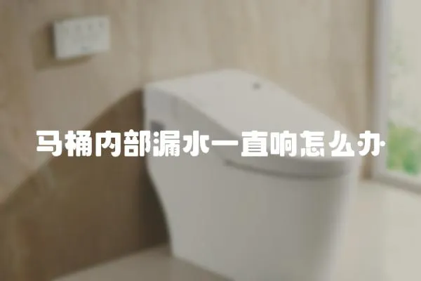 馬桶內部漏水一直響怎么辦