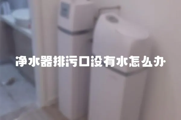 凈水器排污口沒有水怎么辦