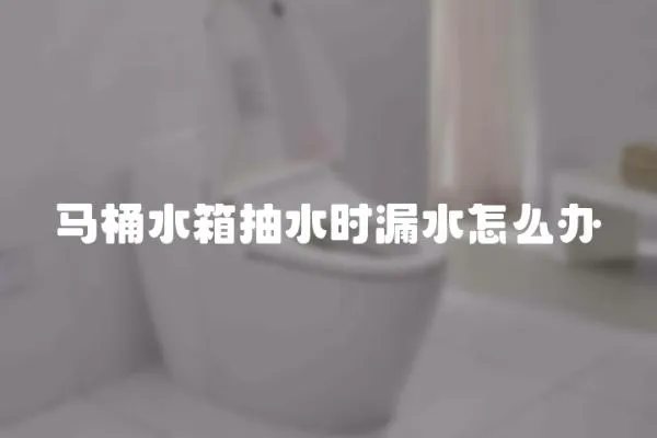 馬桶水箱抽水時漏水怎么辦