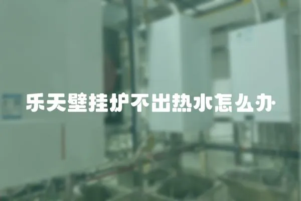 樂天壁掛爐不出熱水怎么辦