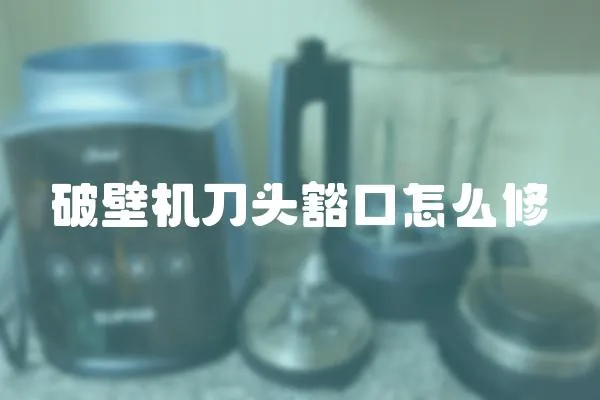破壁機刀頭豁口怎么修