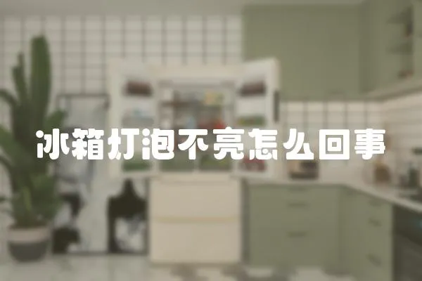 冰箱燈泡不亮怎么回事
