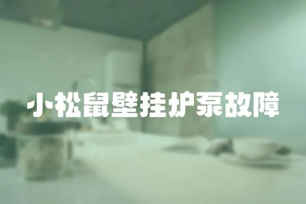 小松鼠壁掛爐泵故障