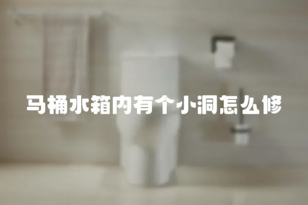 馬桶水箱內有個小洞怎么修