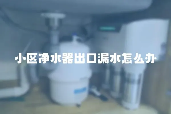 小区净水器出口漏水怎么办