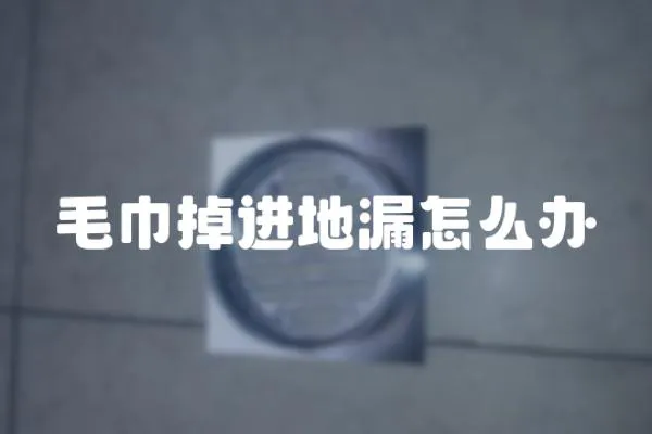 毛巾掉進地漏怎么辦
