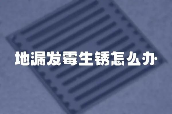 地漏發(fā)霉生銹怎么辦