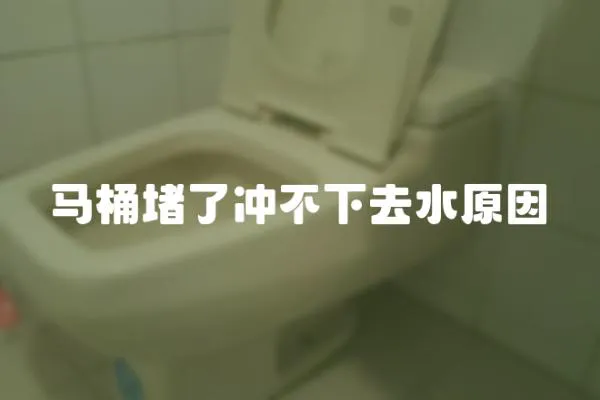 馬桶堵了沖不下去水原因
