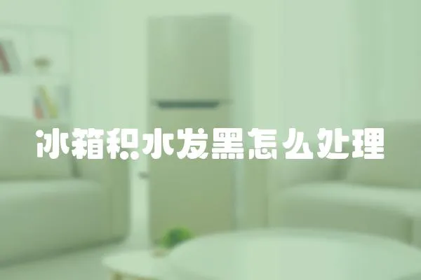 冰箱積水發黑怎么處理