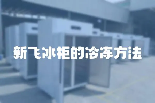 新飛冰柜的冷凍方法