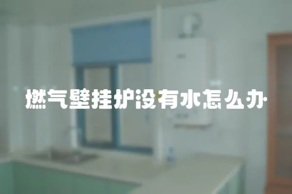 燃?xì)獗趻鞝t沒(méi)有水怎么辦