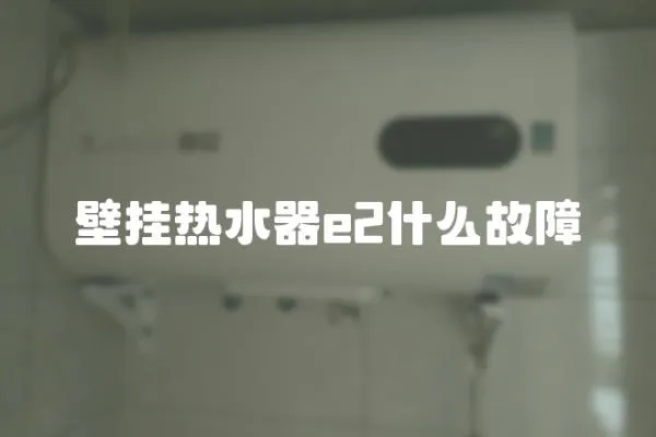 壁掛熱水器e2什么故障